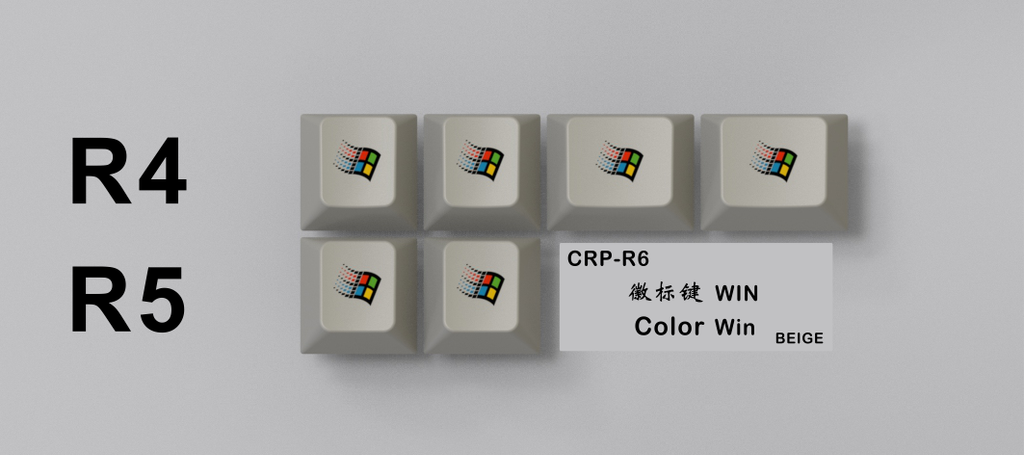 CRP-R6-WIN-Color