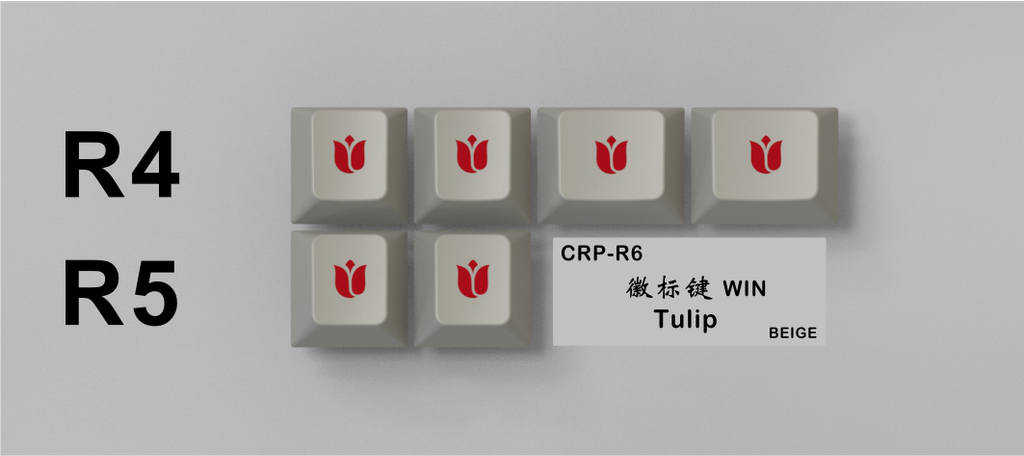 CRP-R6-WIN-TULIP