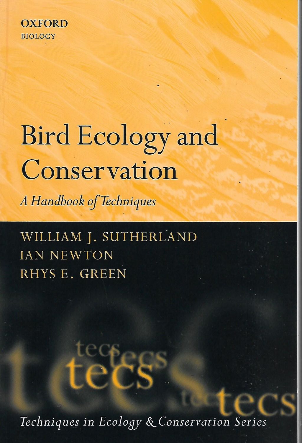 bird 1