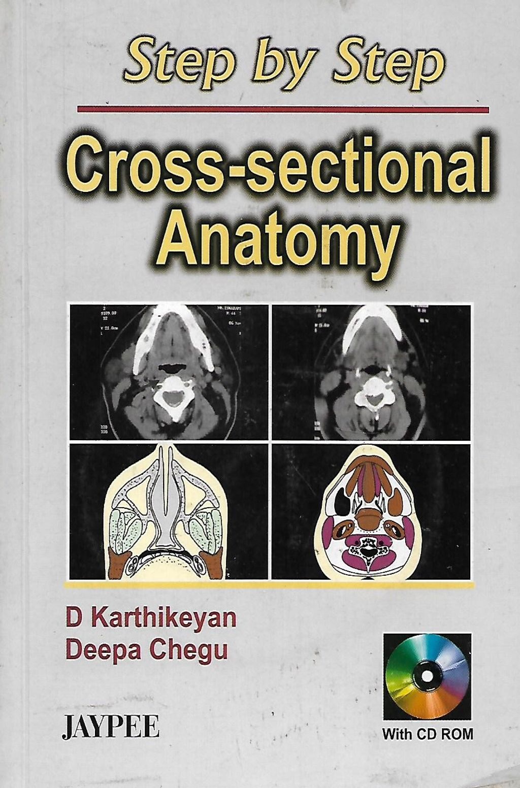 anatomy