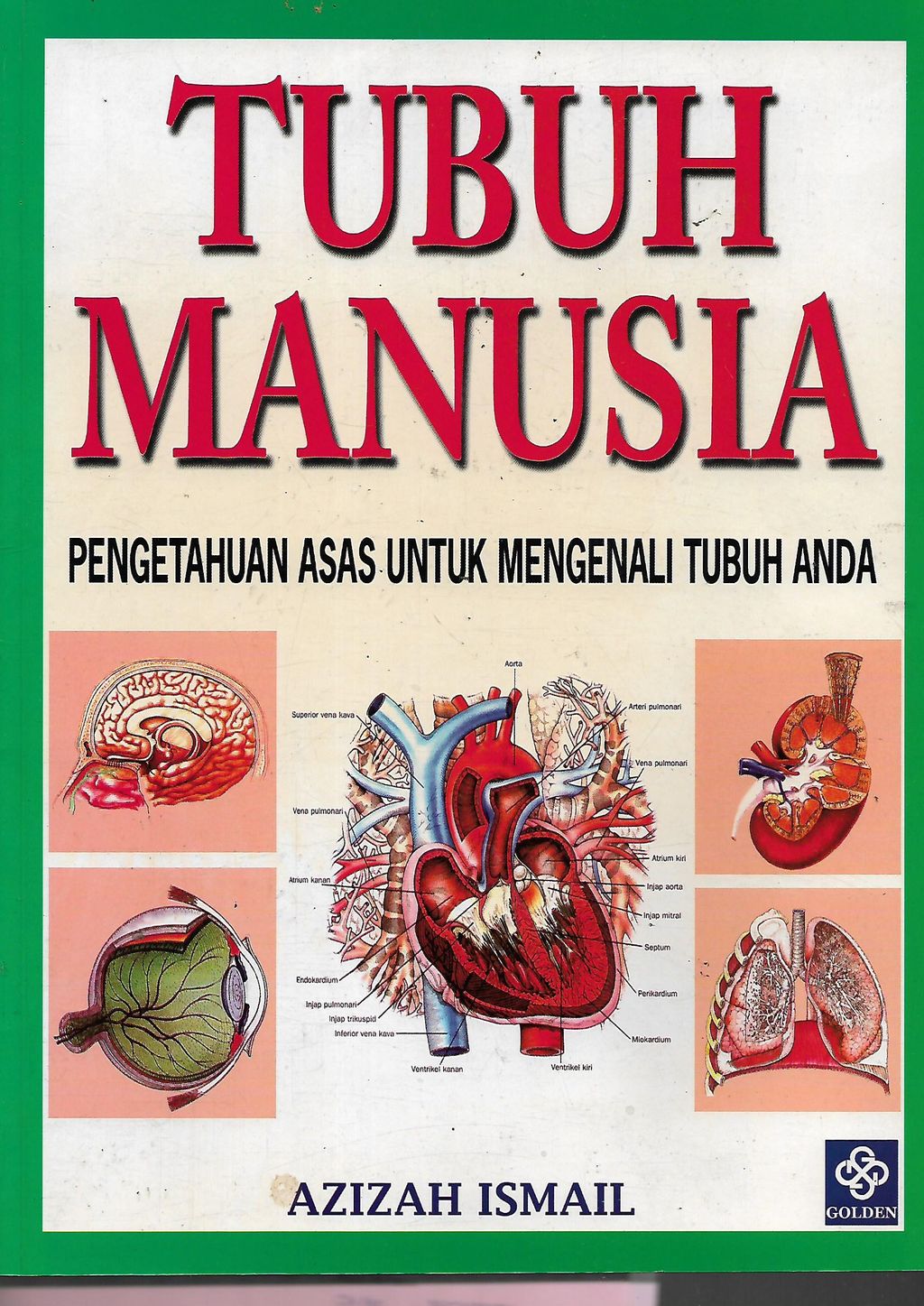 tubuh manusia 1