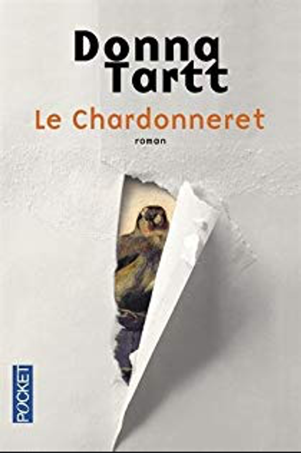 Le chardonneret - Donna Tartt - LE - 17.png