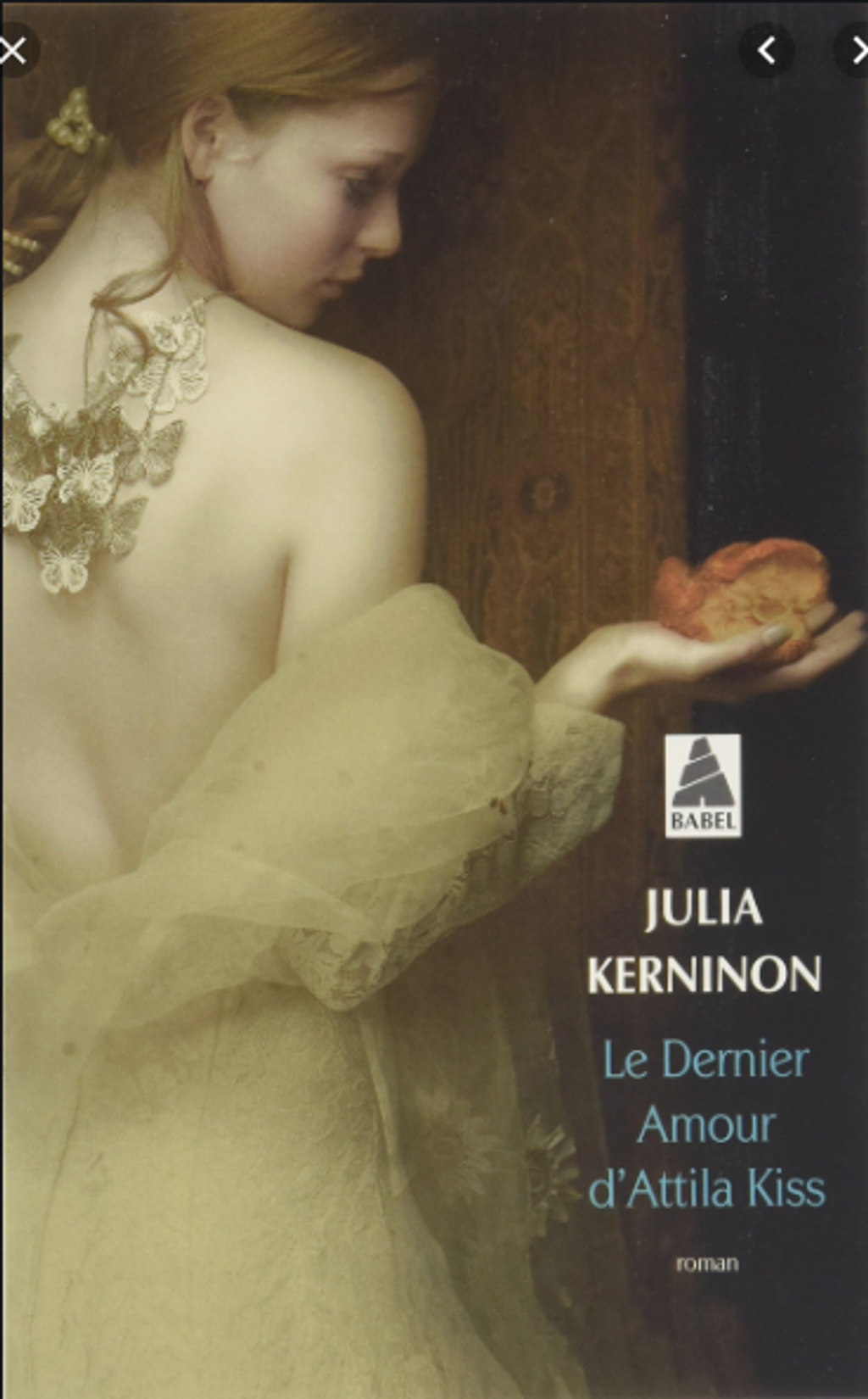 Le dernier amour D'Attila Kiss - Julia kerninon - B - 14.png