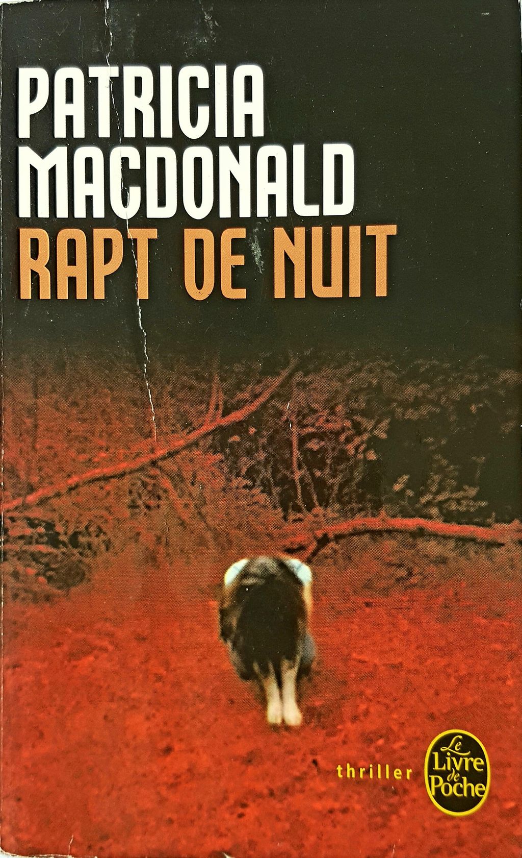 rapt de nuit.jpg
