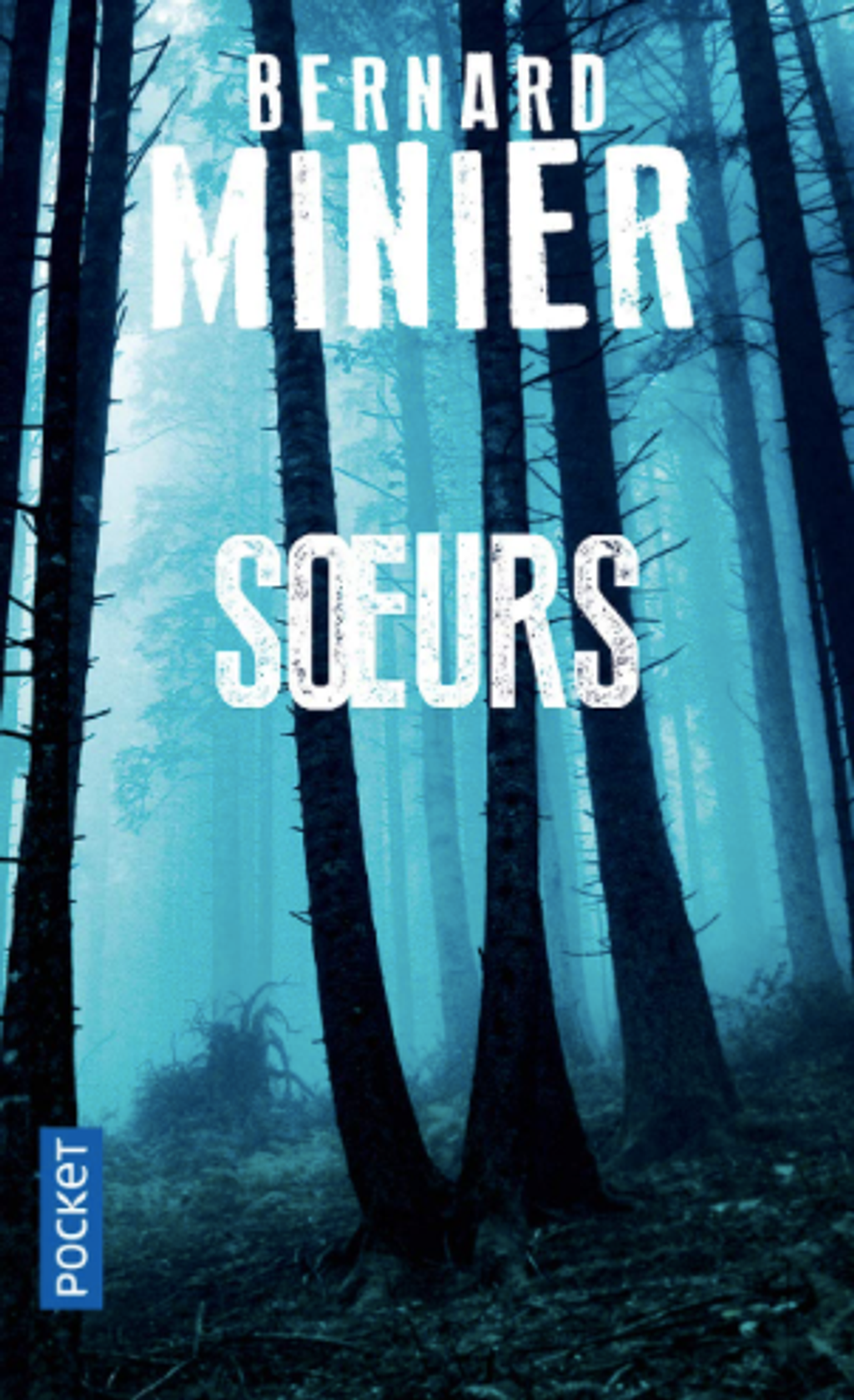 Soeurs - Bernard Minier - A4 - M - 18 - 9782266291897.png
