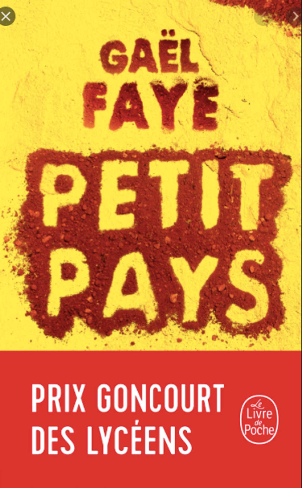 Petit Pays - Gaël Faye - E8 - M - 18.png