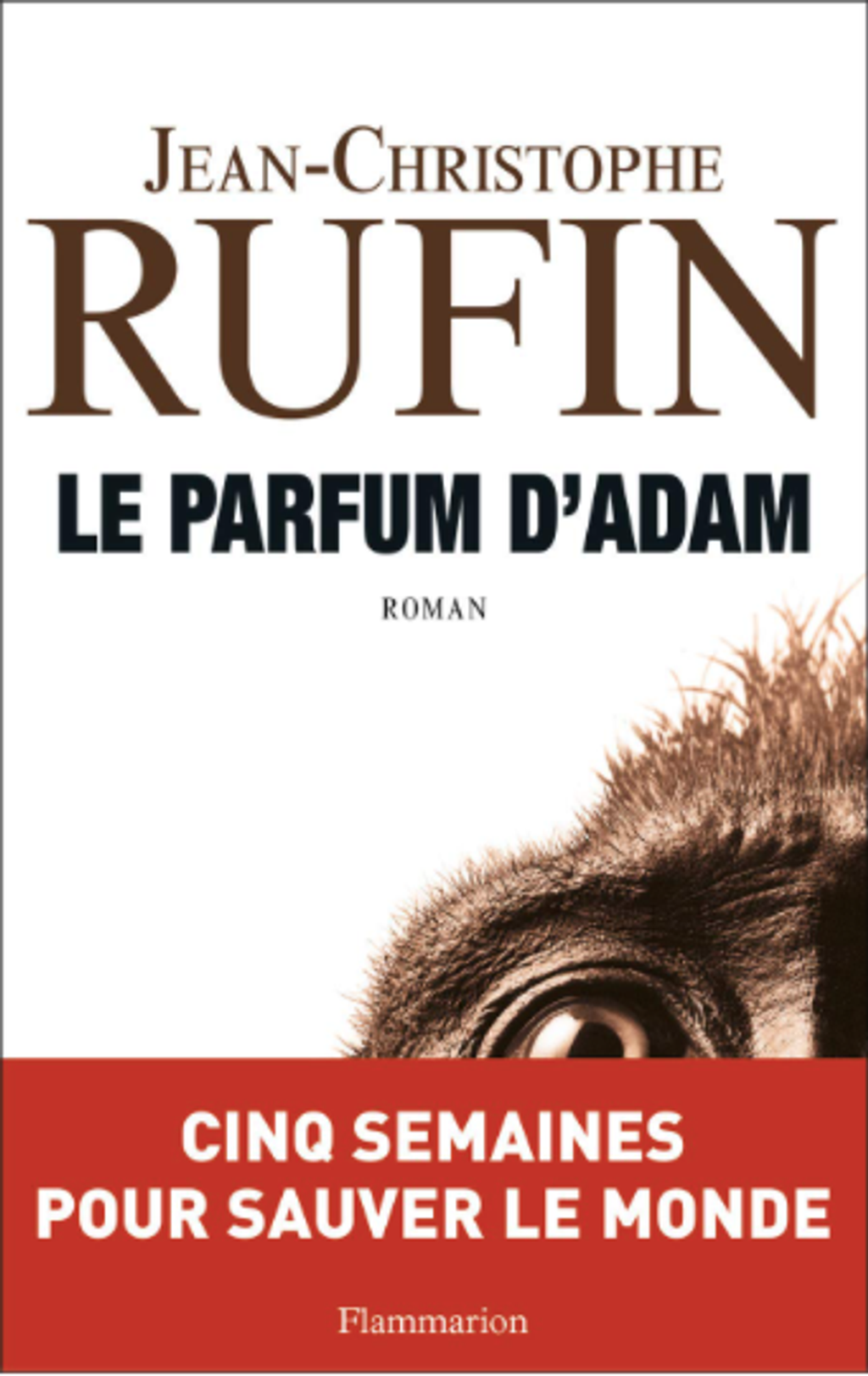 Capture d’écran 2021-03-29 à 10.50.28.png