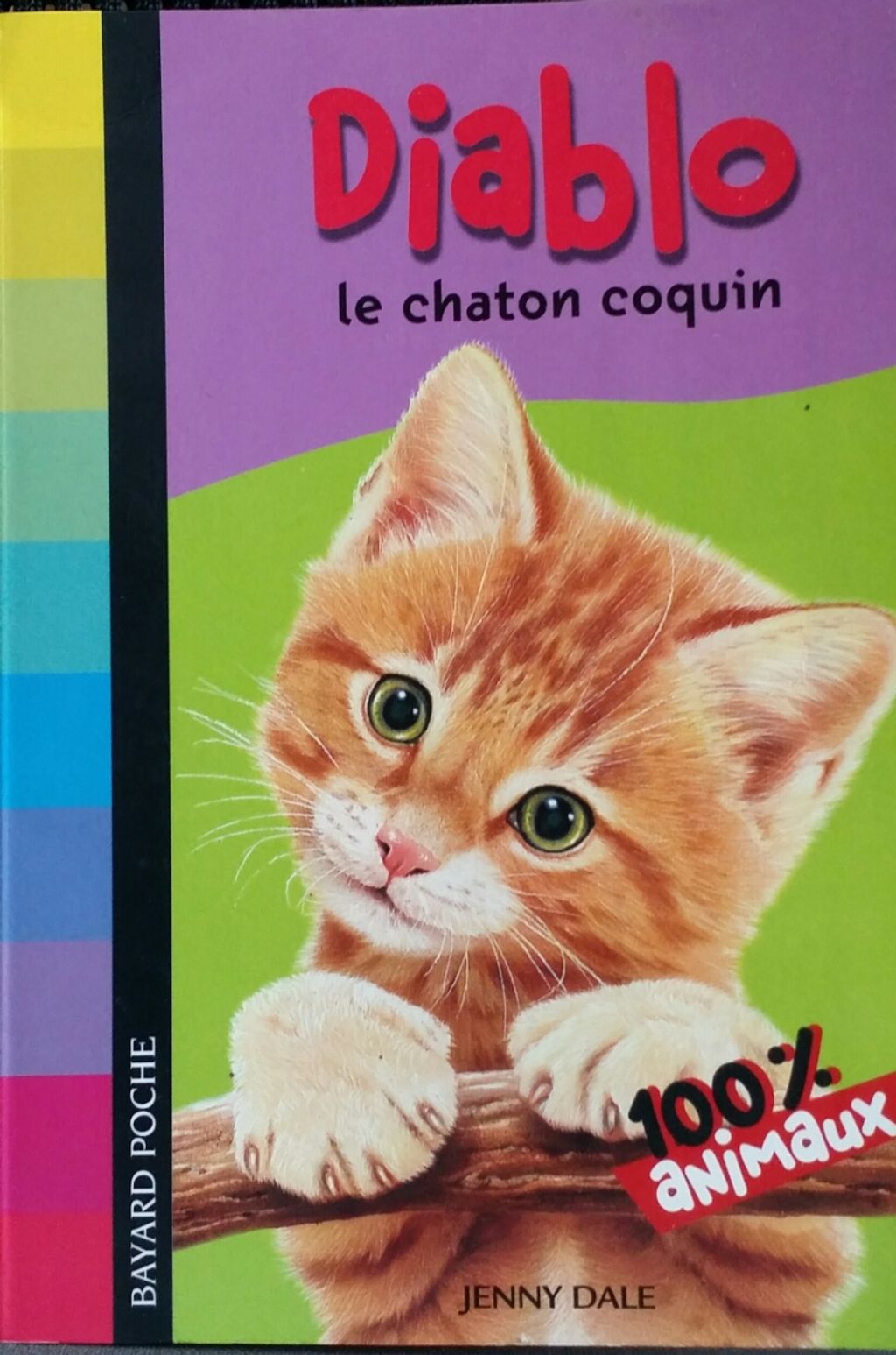 diablo le chaton coquin.jpg