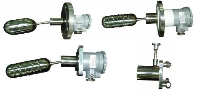 Magnetic Float Level Switch (LHSLFRE).jpg