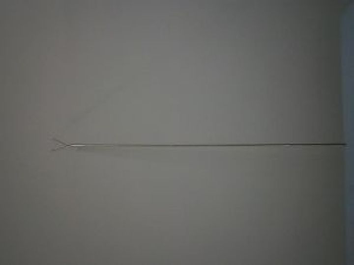 1486098393_901214_z