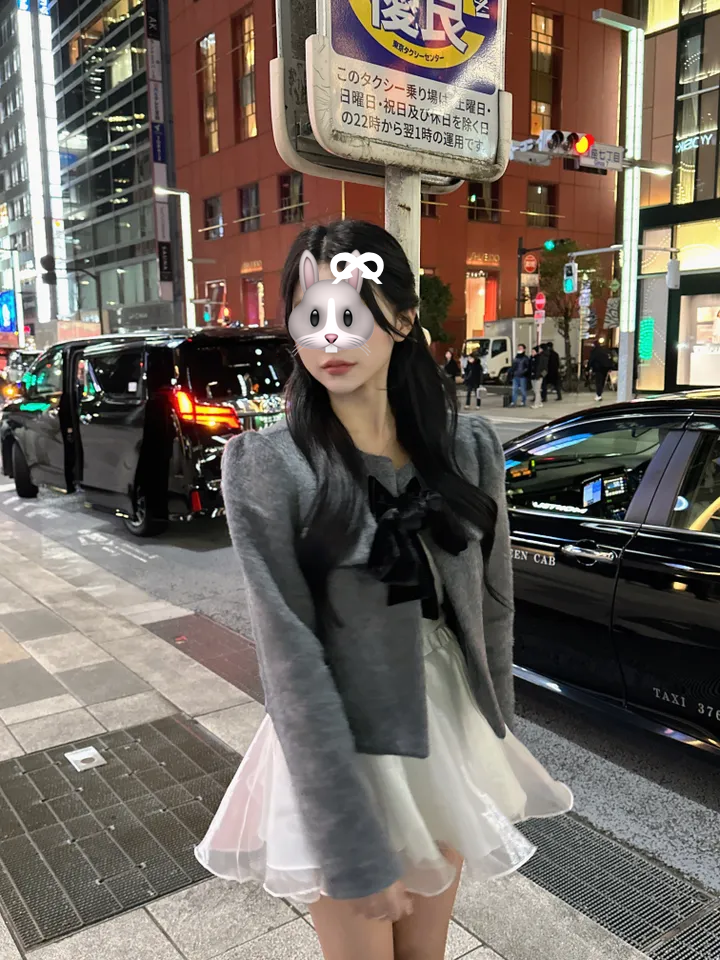 下載 - 2024-12-12T213741.259