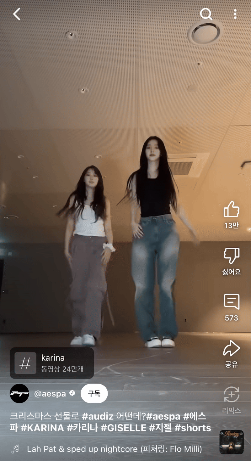 카리나바지2