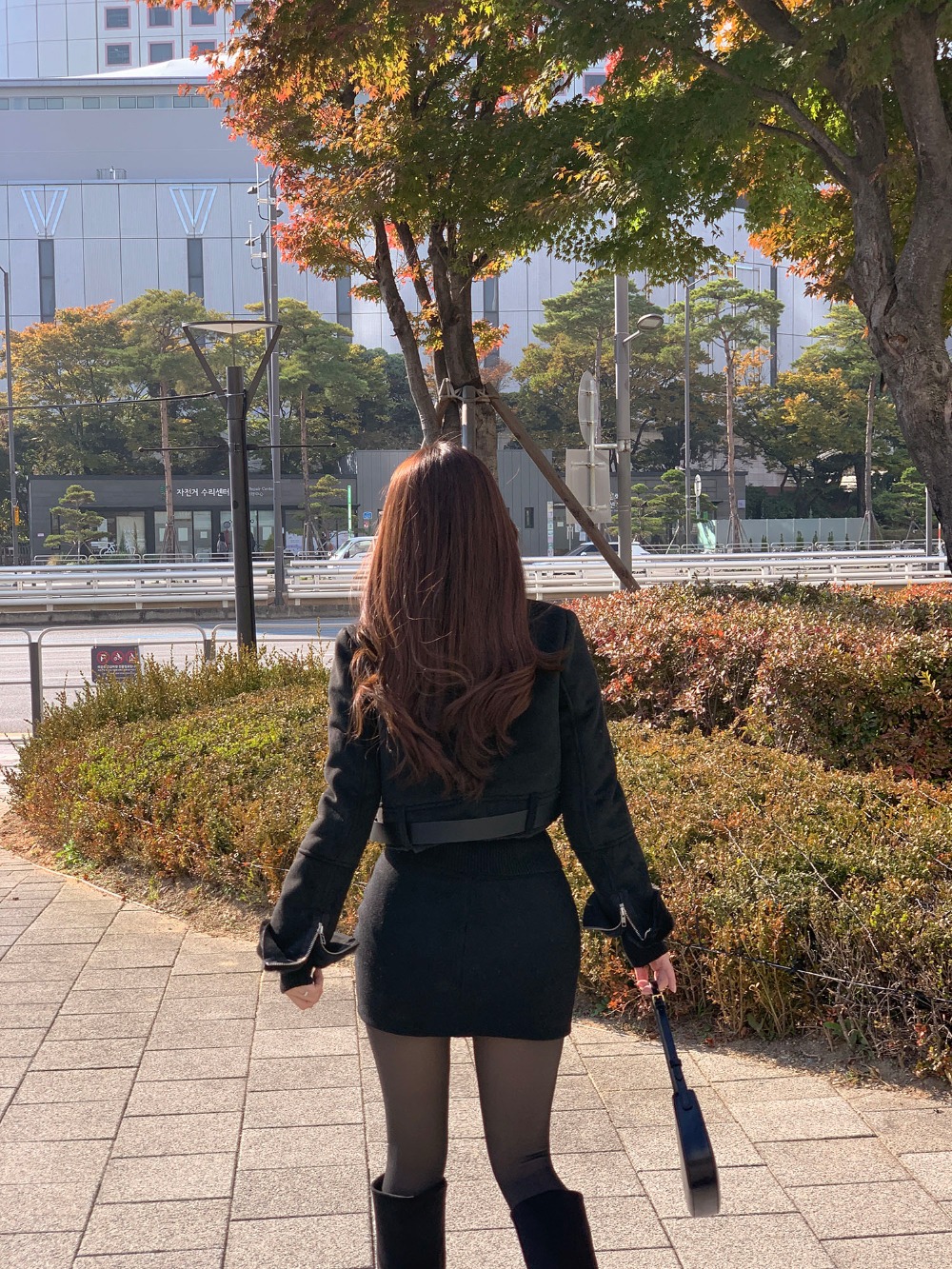 imgi_172_8897dcf2e42cbeb4972ecf118ec02d5a