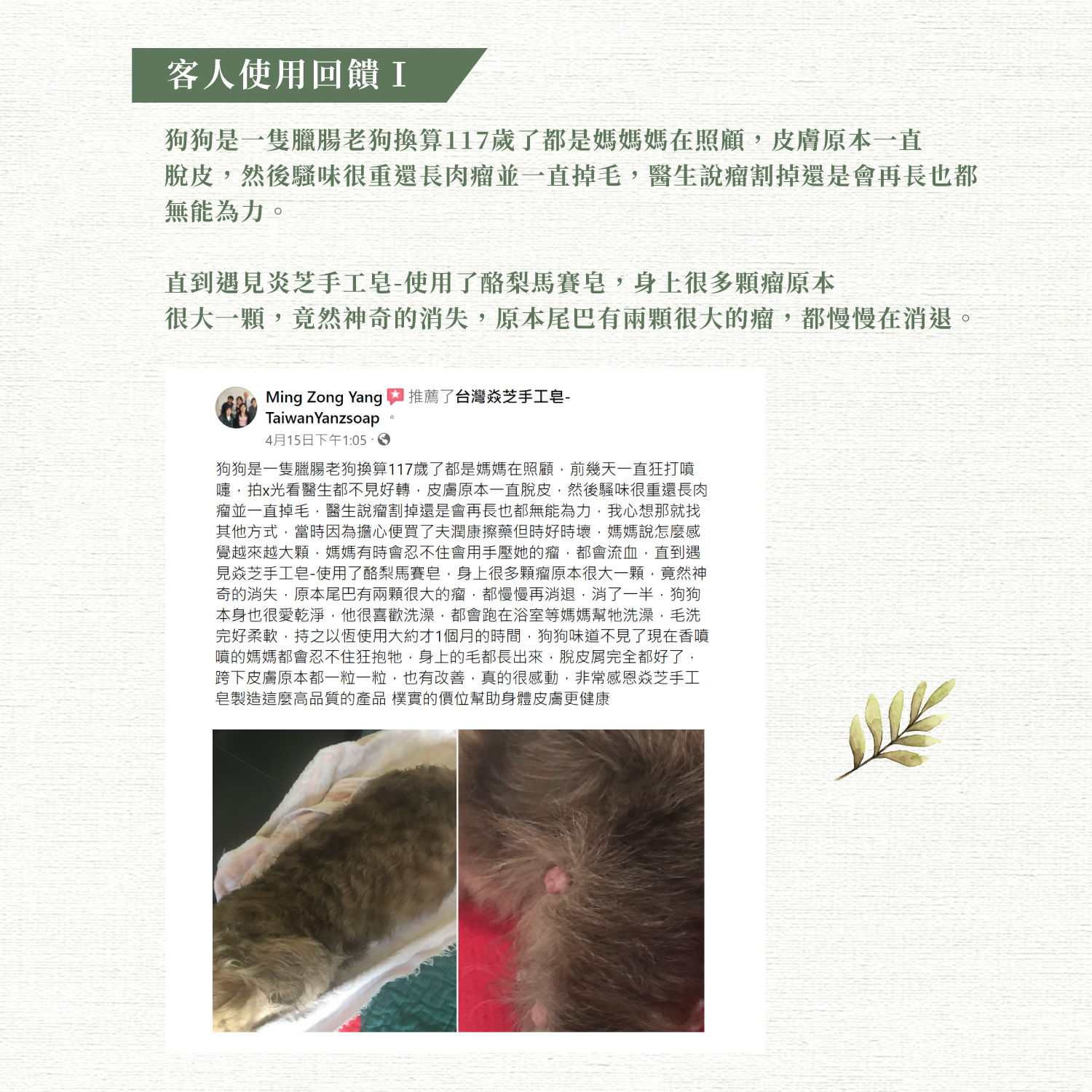 台灣焱芝手工皂官網(港澳版_方形)_第六區塊-02