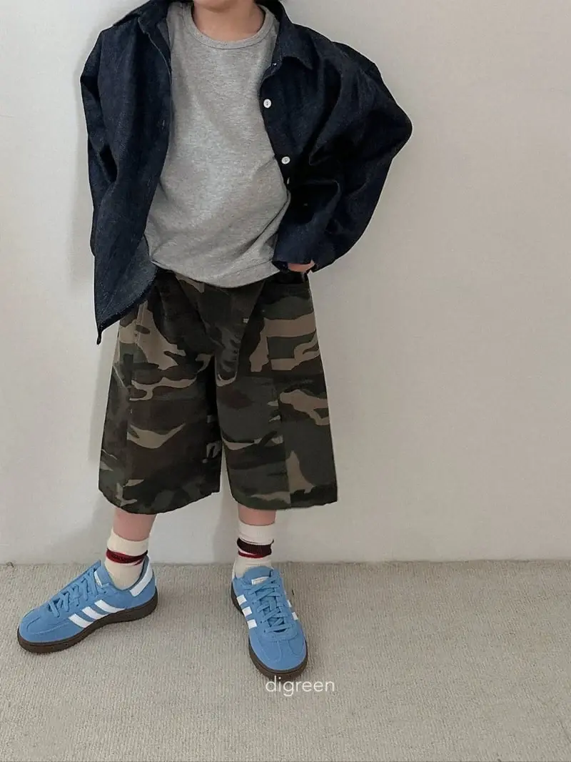 Digreen-Korean-Children-Fashion-Brand-Kfashion4kids-4622453MDiD-large4