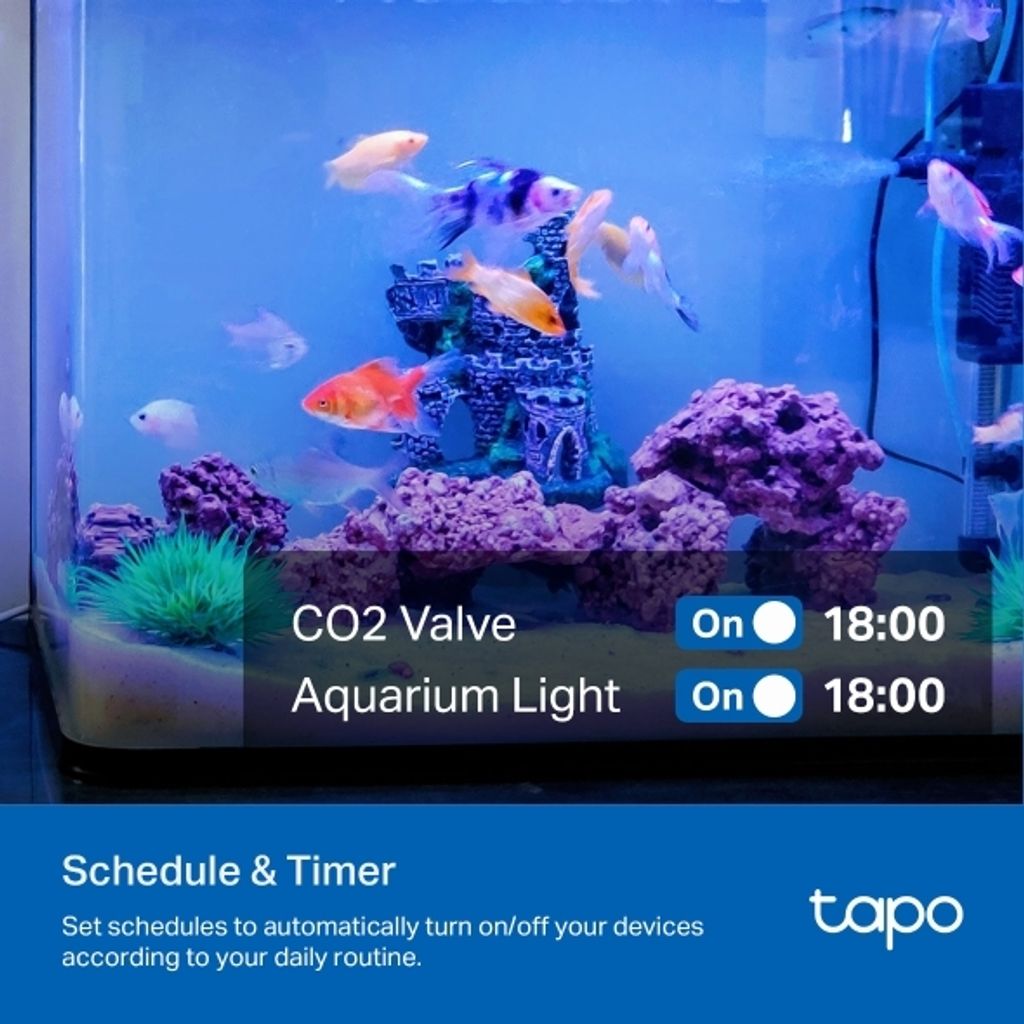 Tapo P304M Schedule and Timer