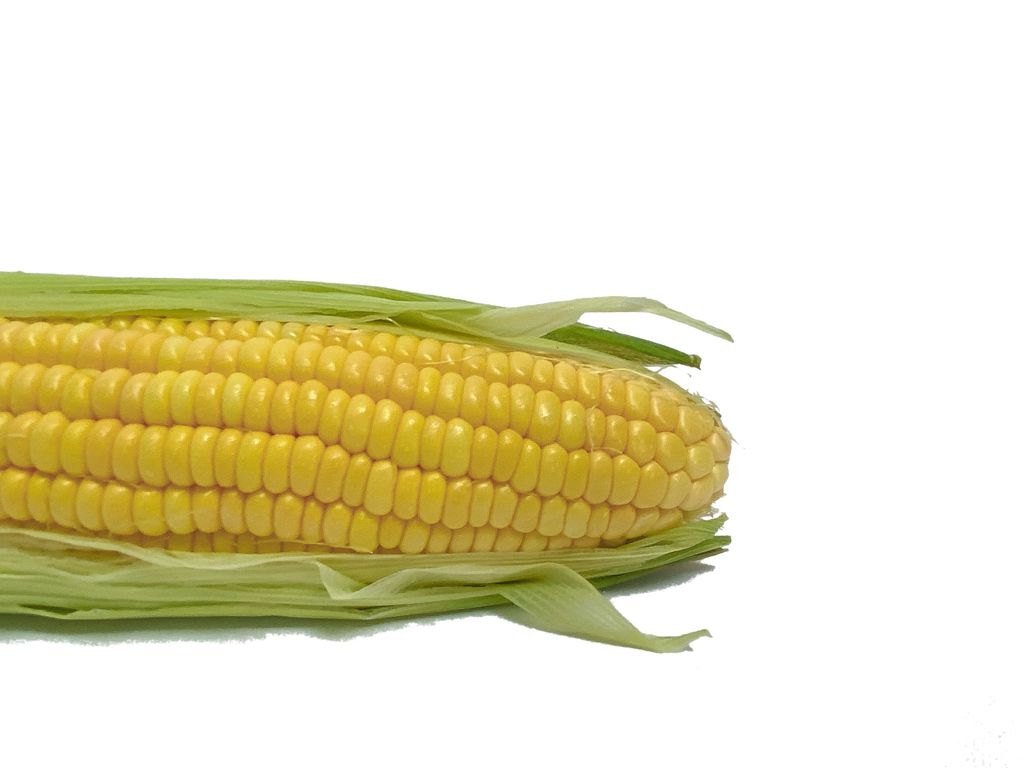 Corn 2-cutout.jpg