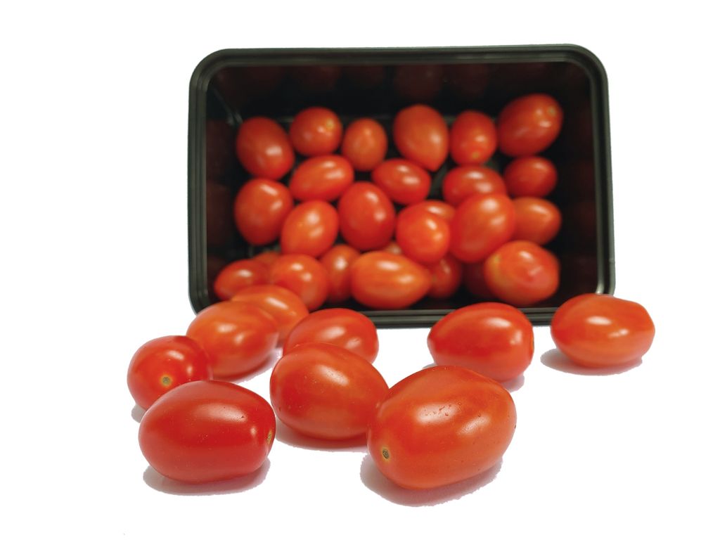 Cherry Tomato-cutout.jpg