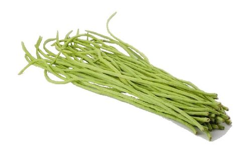 Bean Long-cutout.jpg