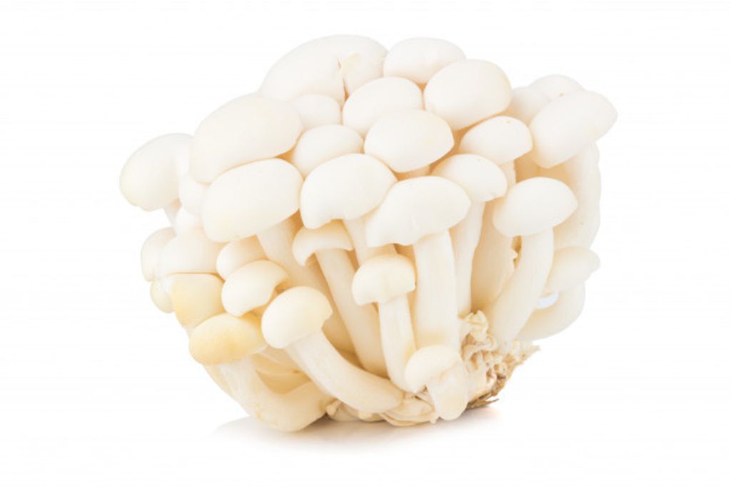 white-beech-mushrooms-shimeji-mushroom-edible-mushroom-isolated_42547-767.jpg