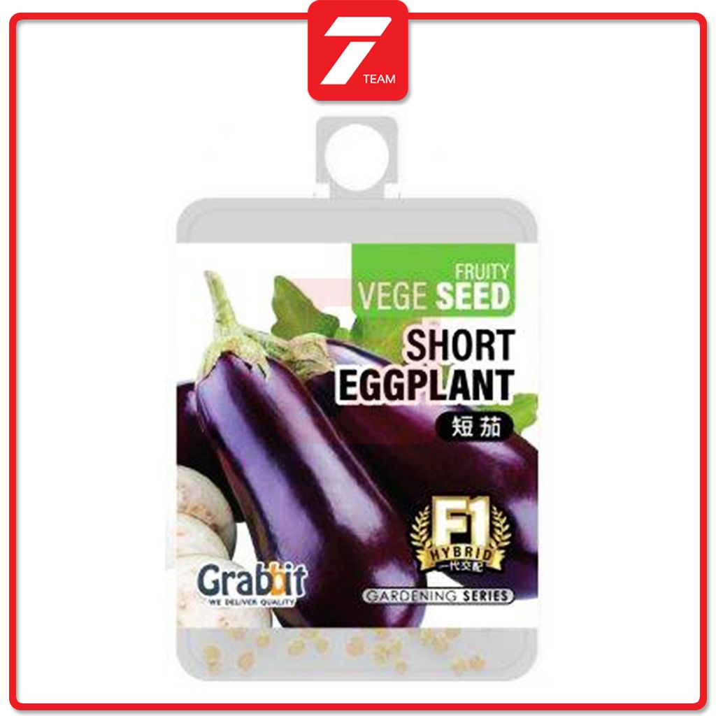 T7 Short eggplant.jpg