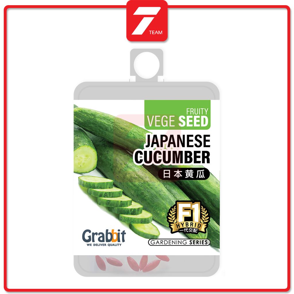 T7 japaness cucumber.jpg