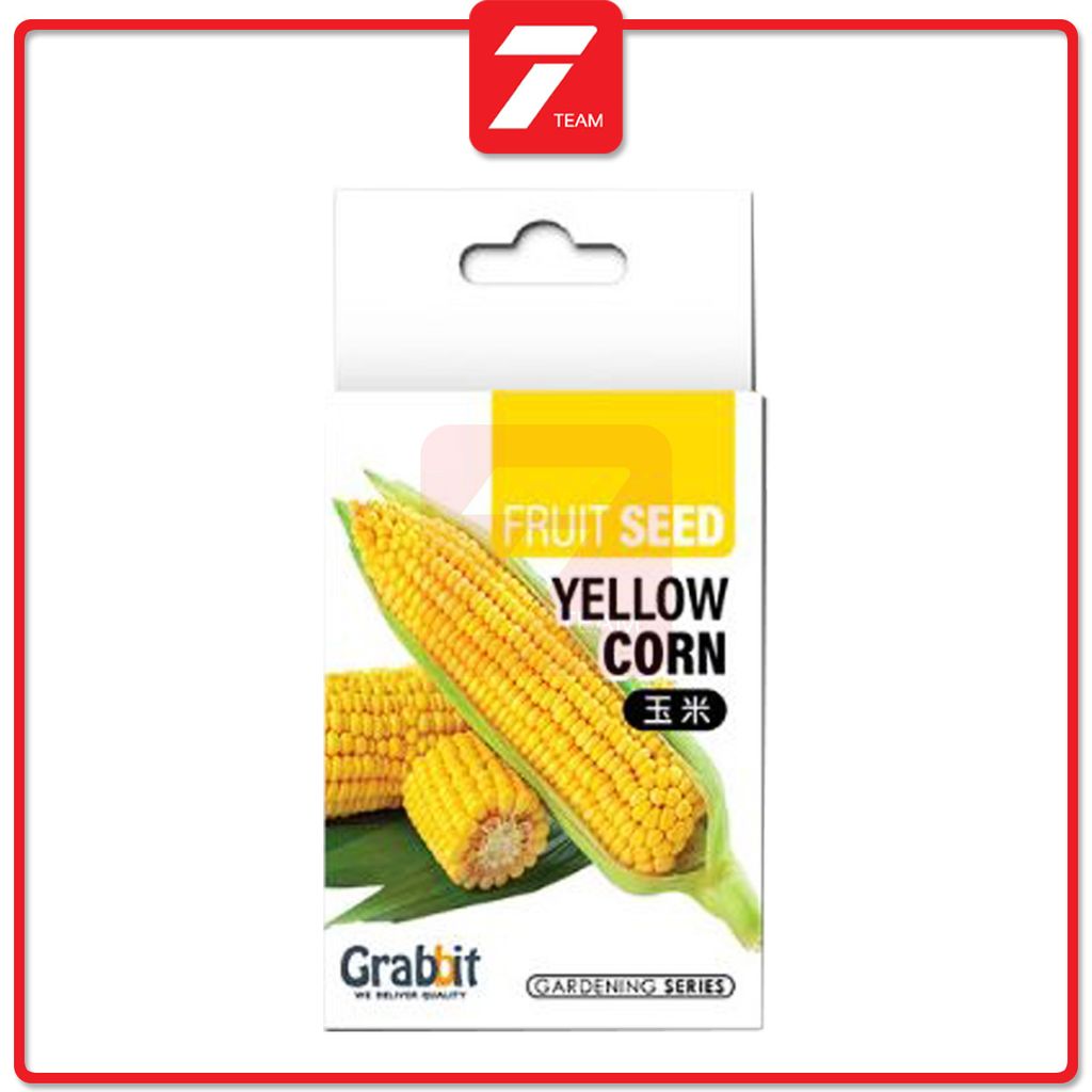 T7 yellow corn 2.jpg