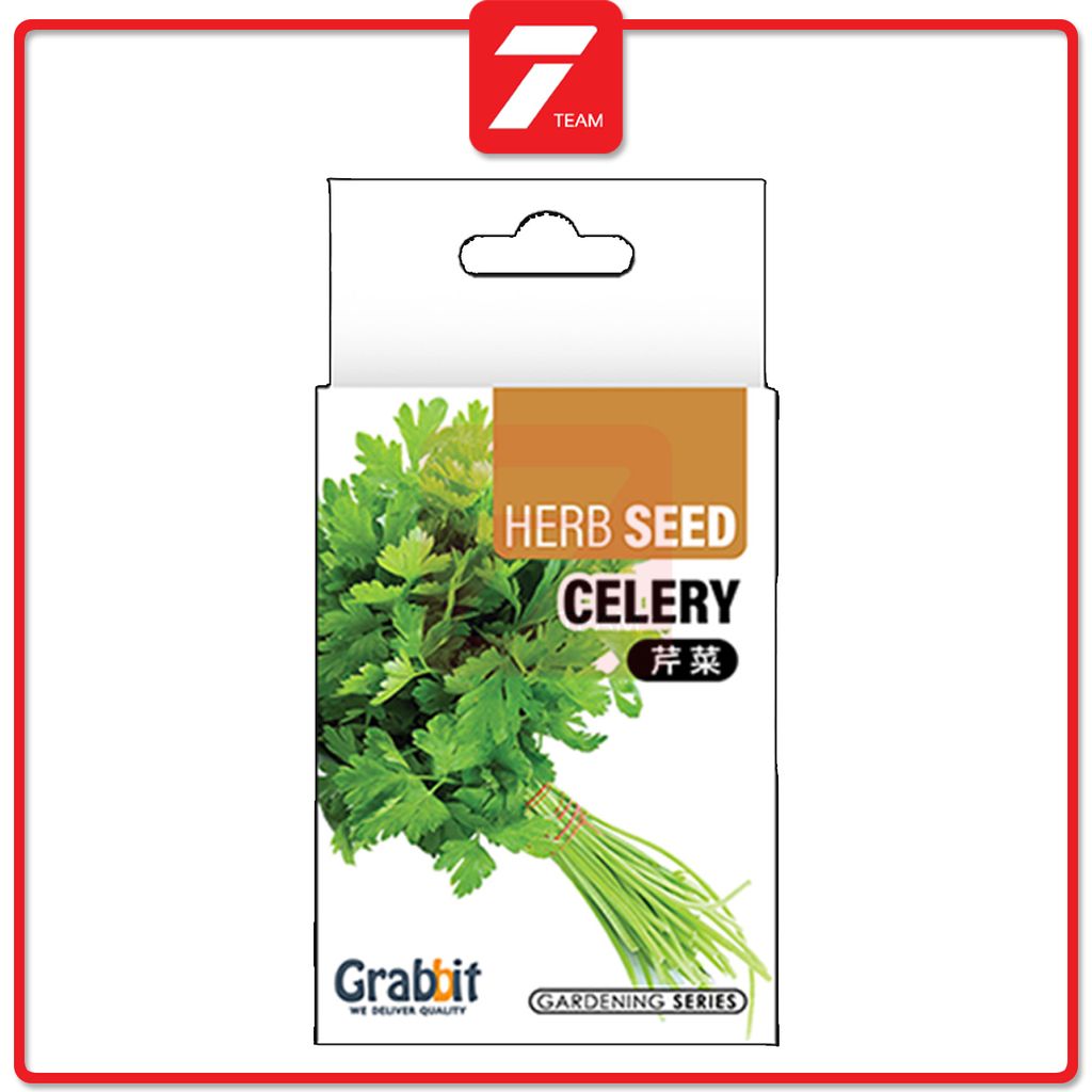 T7 celery 3.jpg