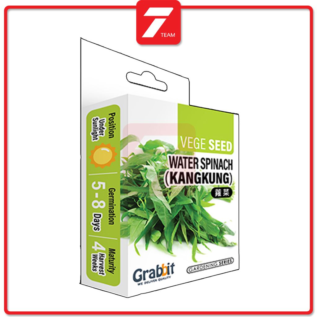 T7 water spinach 4.jpg
