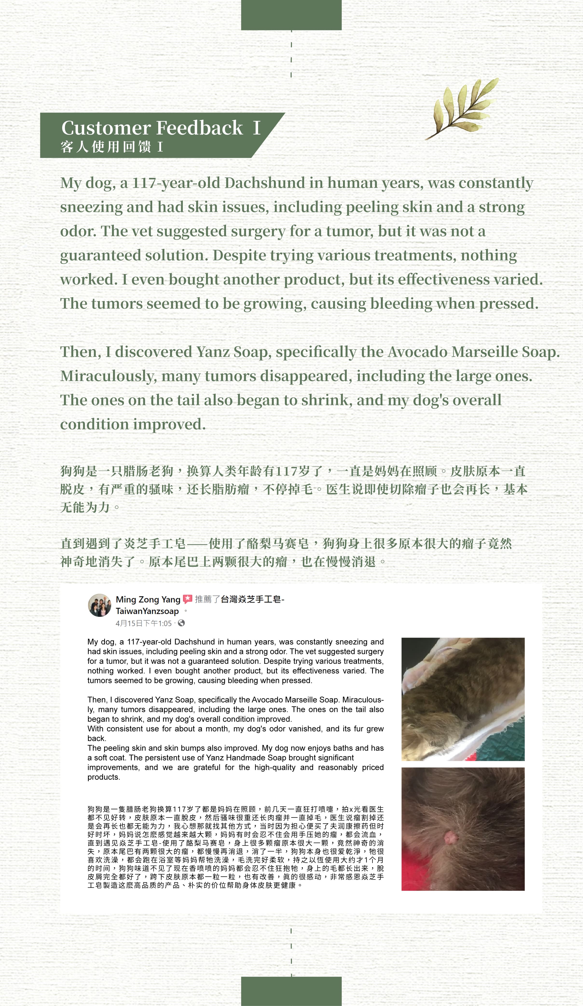 台灣焱芝手工皂官網(新加坡)_第六區塊-02