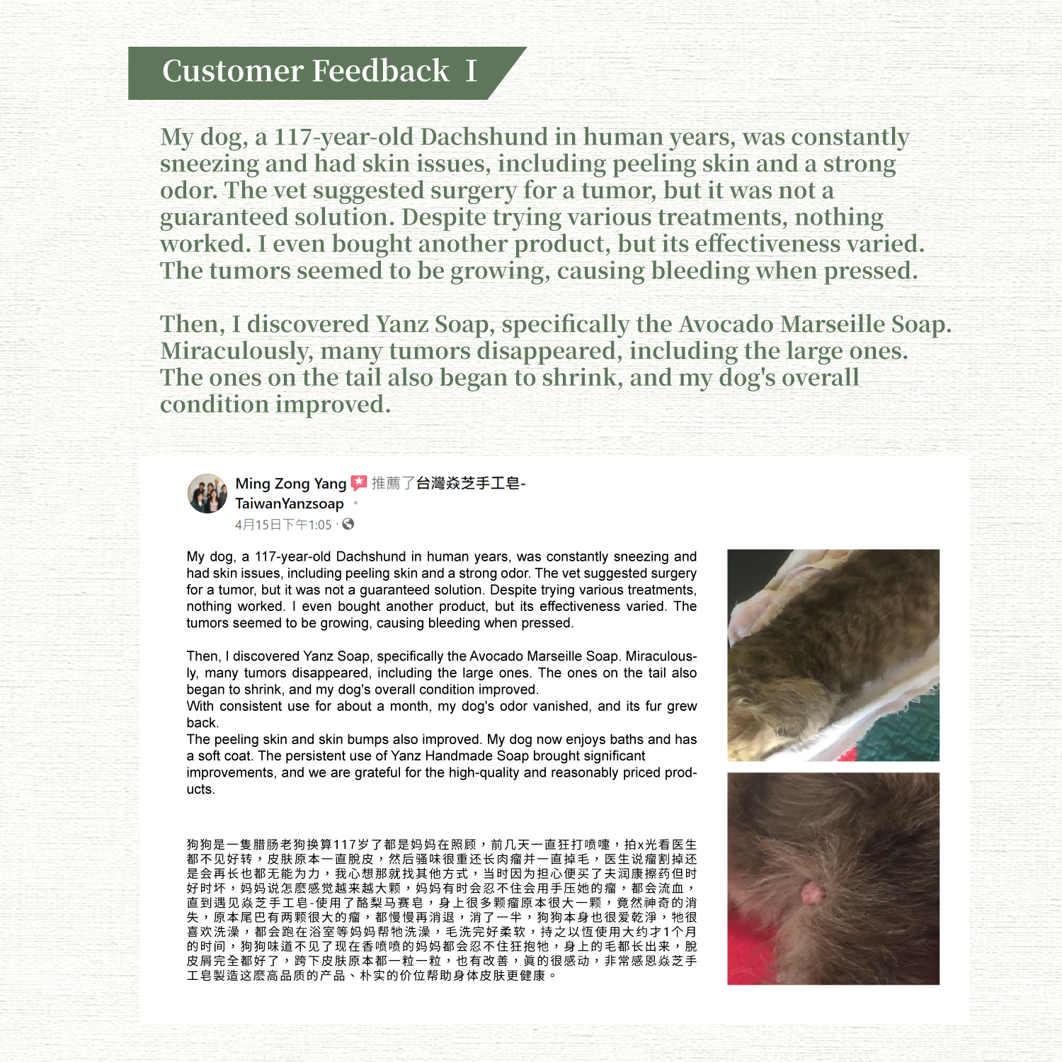  | 台湾焱芝手工皂DR YANZ LLC新加坡官网店铺-Organic Soap Natural Soap