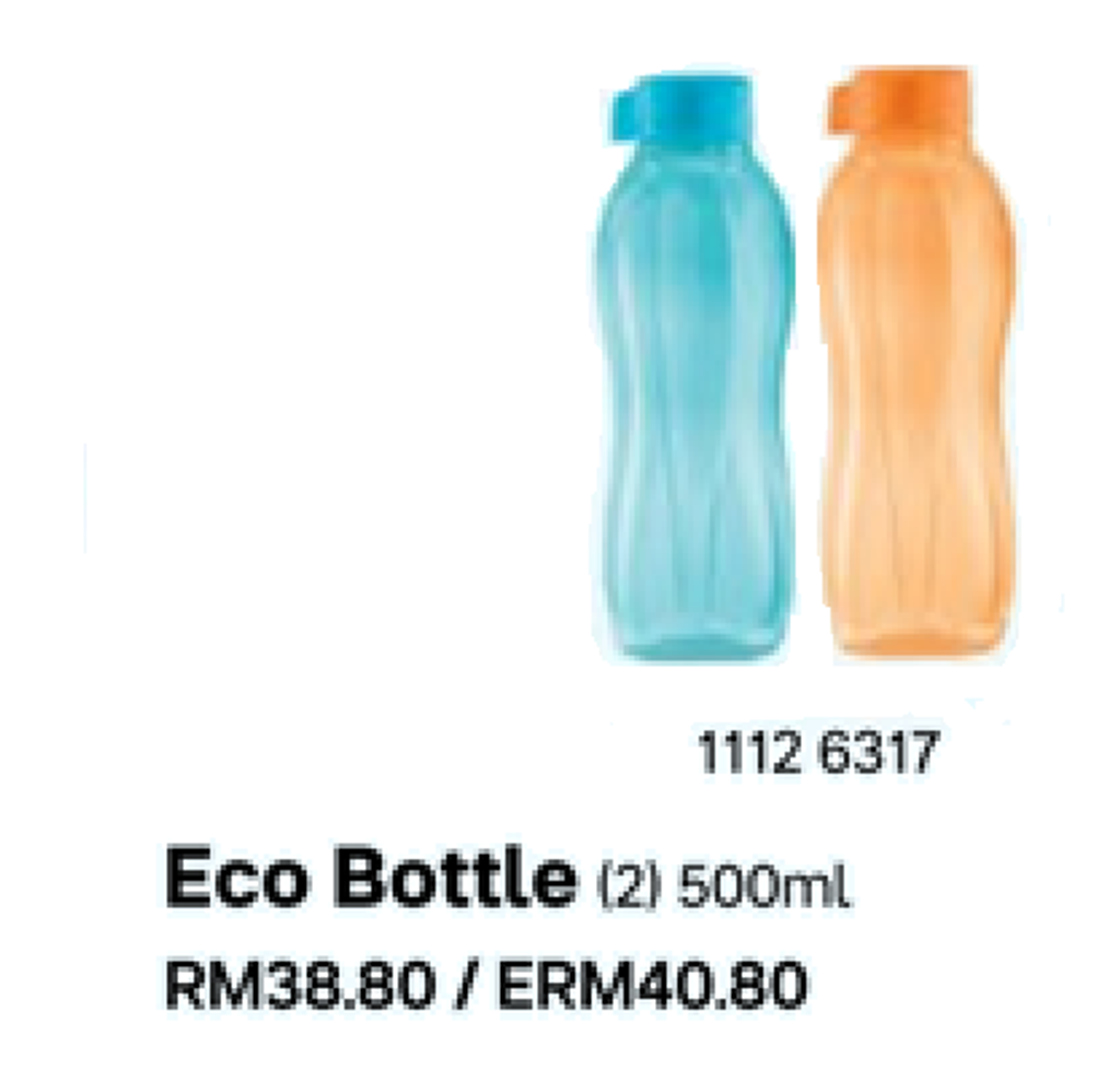 eco500bo.png