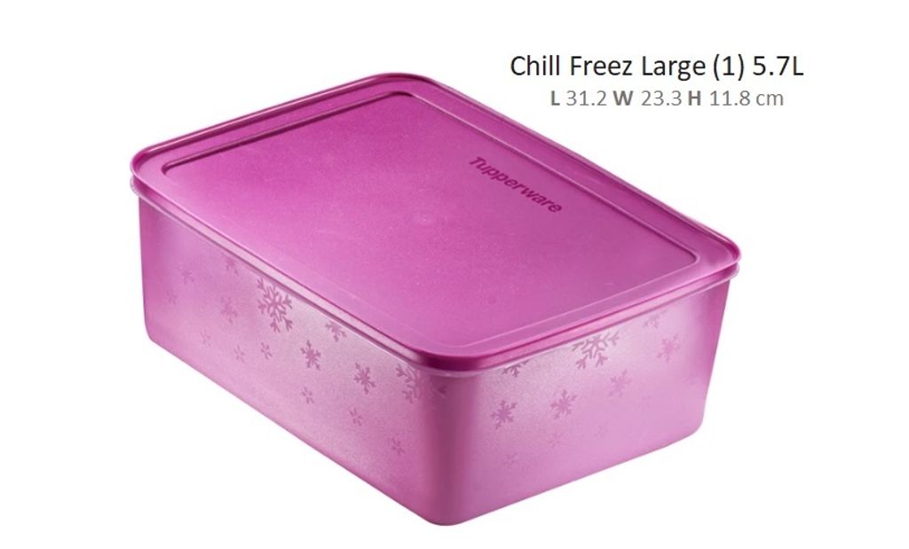 Chill Freez Large (1) 5.7L fusia.jpg