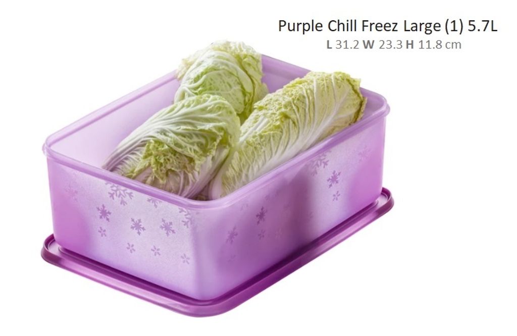 Chill Freez Large (1) 5.7L purple.jpg