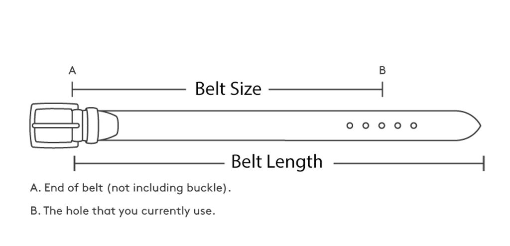 Belt-Msmt-Graphic.jpg