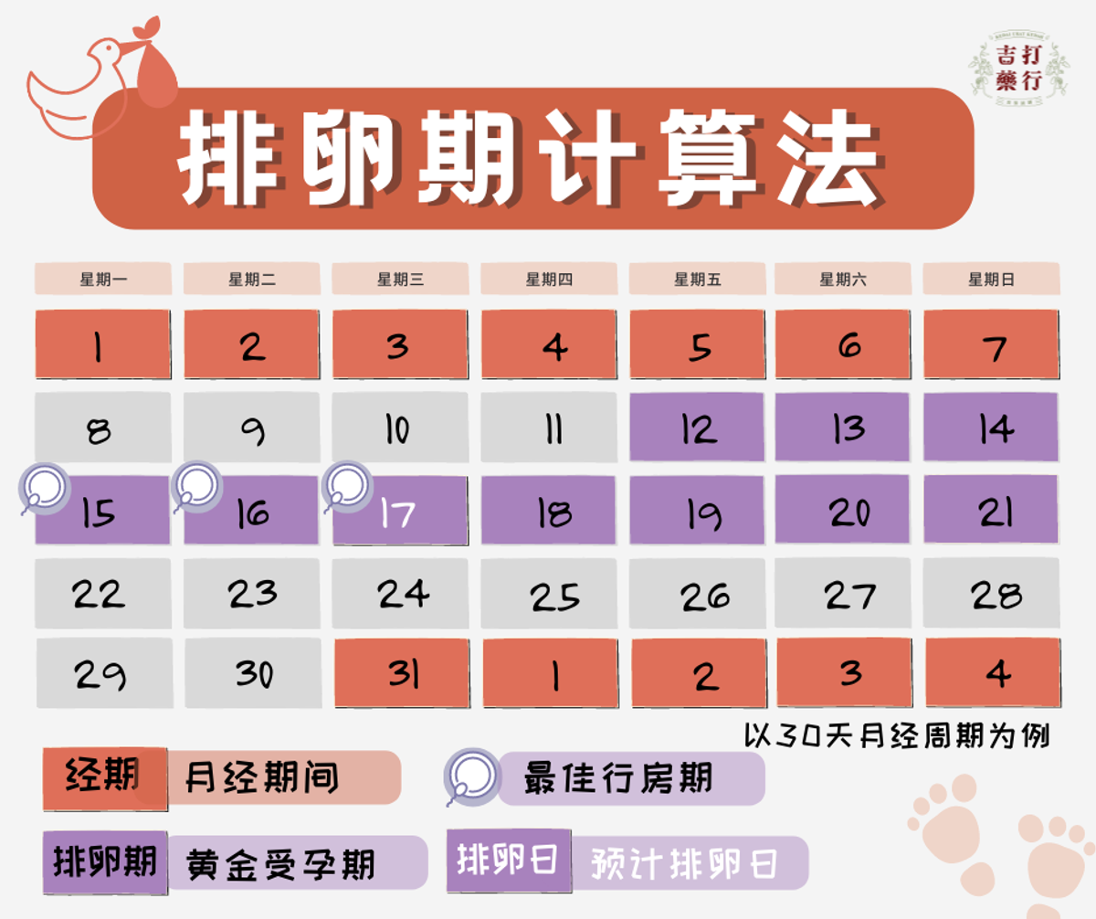 正确排卵期计算法