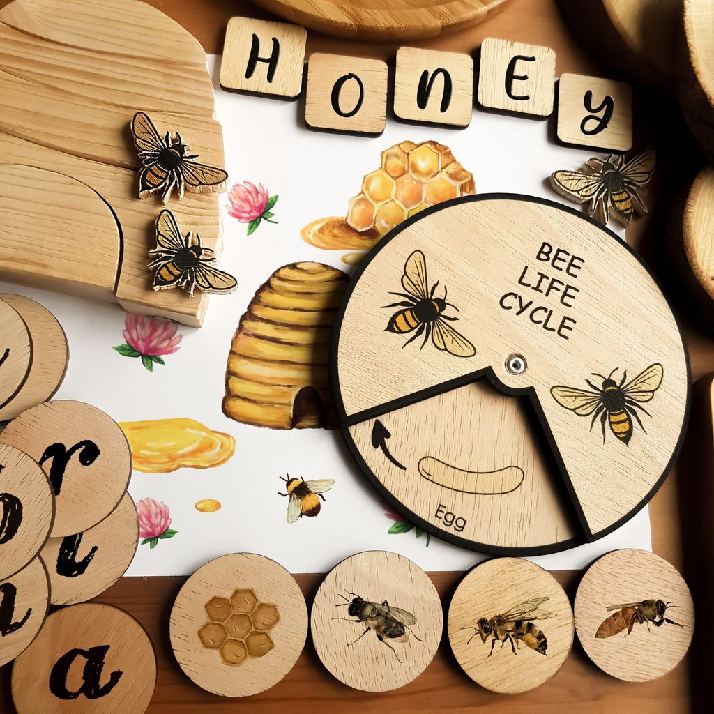 Bee Life Cycle Wheel.jpg