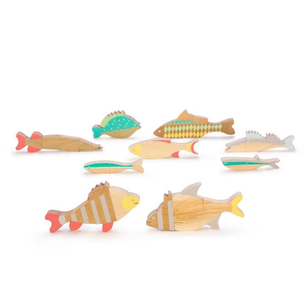 FISHES OF BALATON - MAGNETIC PUZZLE 4.jpg