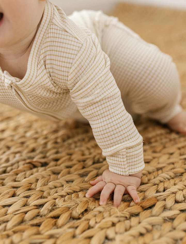 Honey Stripe Zippy 1.jpg
