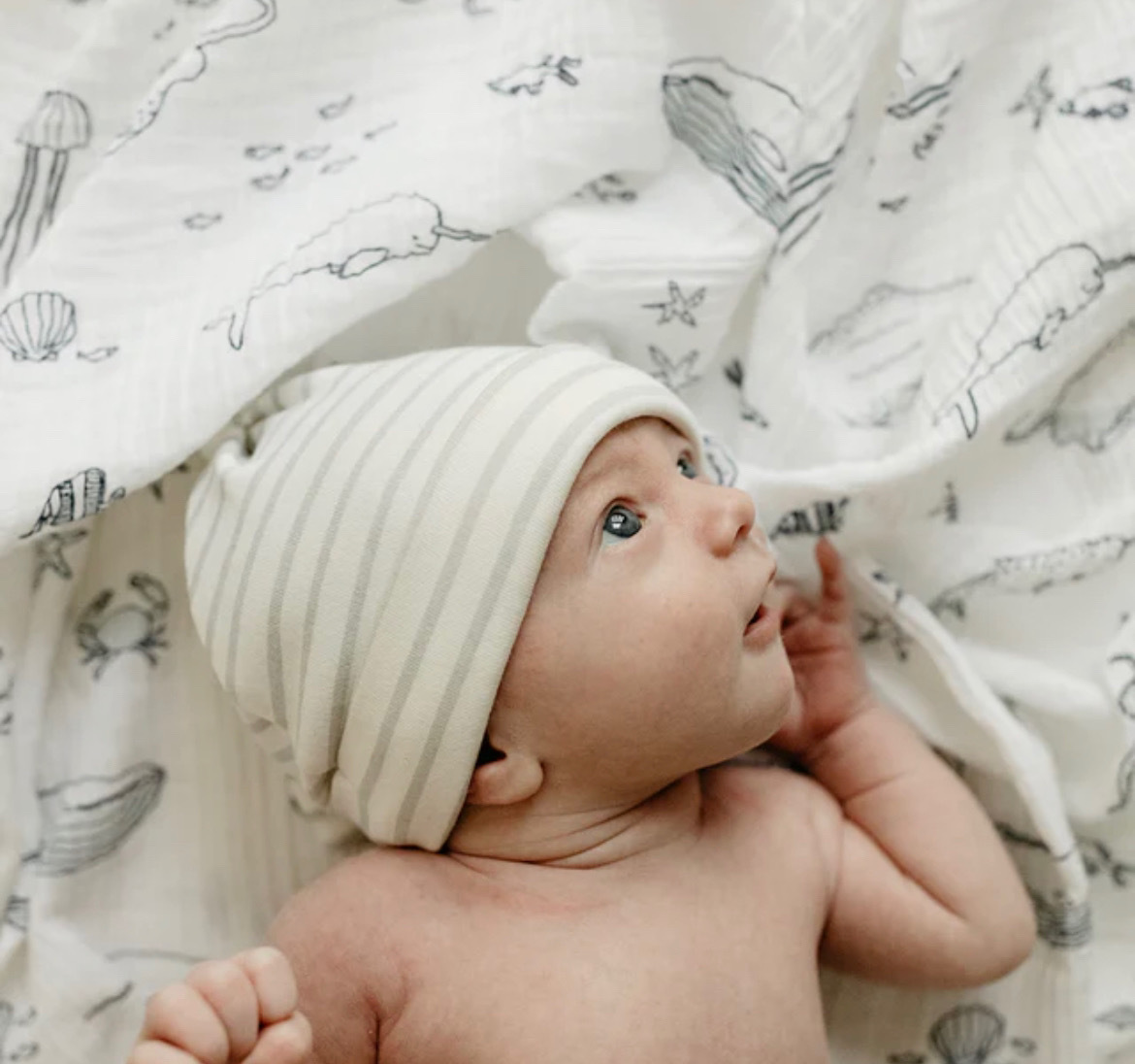 molisandco baby nest blanket