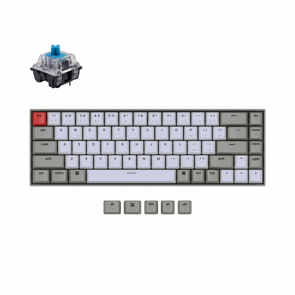 Keychron-K6-compact-65-percent-wireless-mechanical-keyboard-for-Mac-Windows-iOS-keychron-switch-blue-with-type-C-non-backlight_1800x1800.jpg