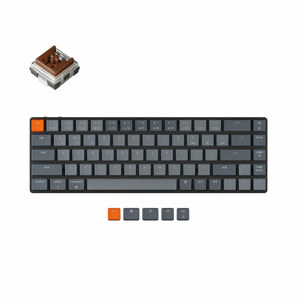 Keychron-K7-65-percent-ultra-slim-compact-wireless-mechanical-keyboard-for-Mac-Windows-Hot-swappable-low-profile-Optical-brown-switches-for-Mac-Windows-with-White-backlit_1800x180.jpg