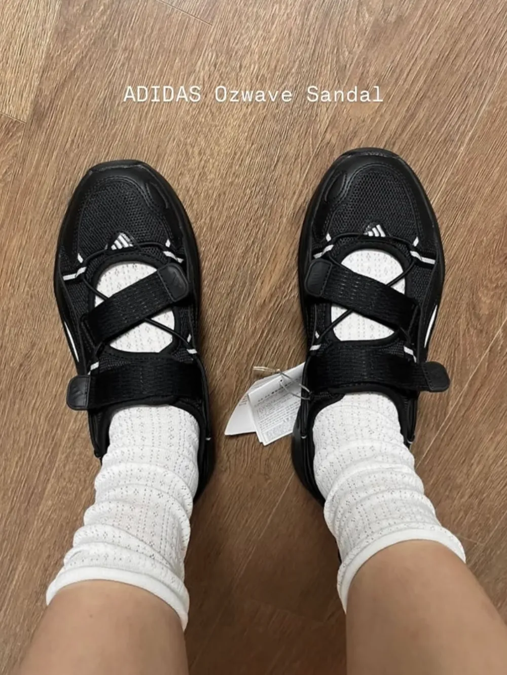 image_67A4E86A-CC51-44A1-819B-6E6DF8264623_1772823728