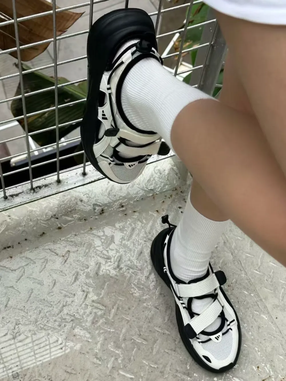 image_402F1C31-A826-4C50-8C62-4037B1484FE9_1772823728