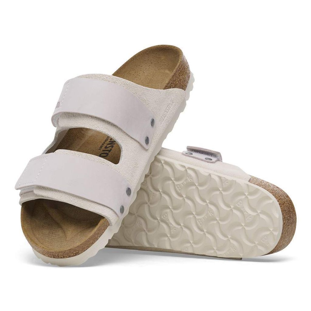 1024800_sole