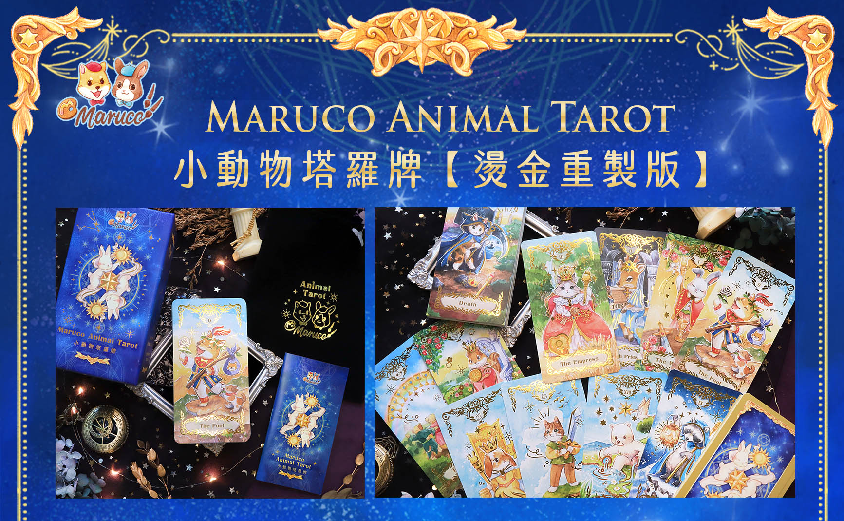 小動物塔羅牌燙金重製版內容說明圖-中文版-01-1