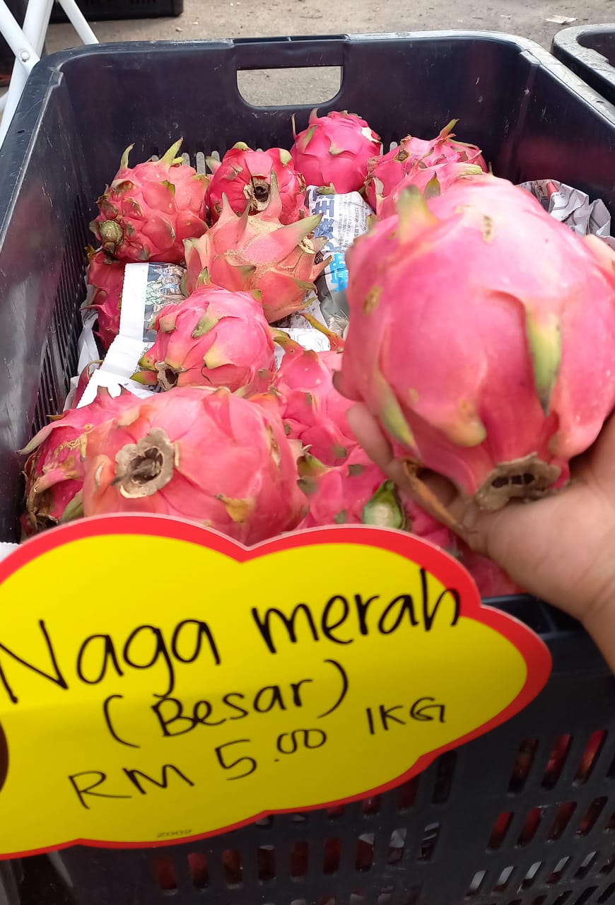 WhatsApp Image 2023-08-17 at 5.39.59 PM (1)