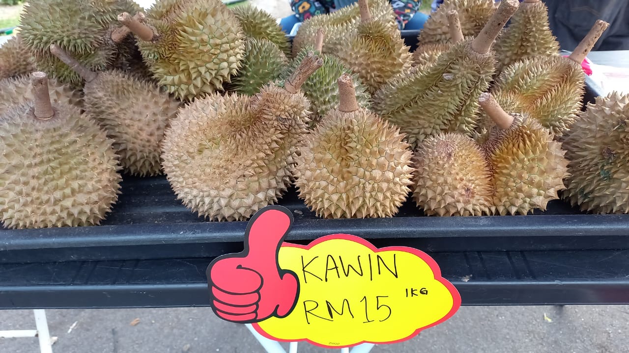 WhatsApp Image 2023-08-17 at 5.39.59 PM