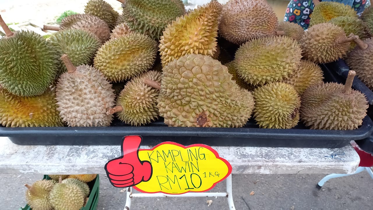 WhatsApp Image 2023-08-17 at 5.39.58 PM