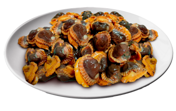 Screenshot 2023-10-25 at 00-18-11 63c84d2f49e3db09314ed70c644f7c28c1bdb0d51c324-400x400.png (PNG Image 400 × 400 pixels)